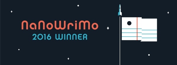 nano2016_winner